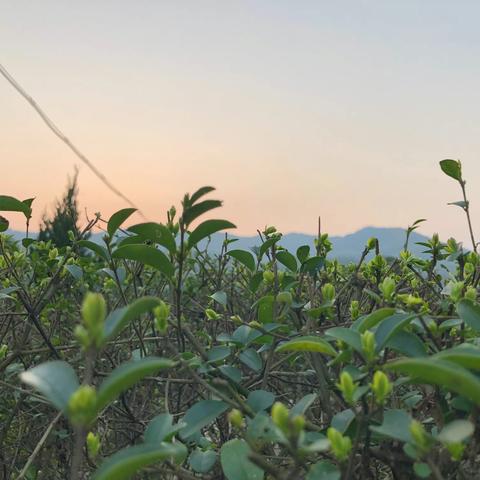 春风化雨，润物无声——南城县教师进修学校对新教师岗前培训听课指导实录