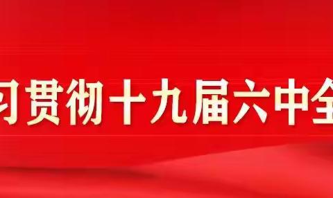 学习全会精神，更加坚定自觉地践行初心使命 ——中共金华市苏孟中学支部委员会12月份主题党日活动