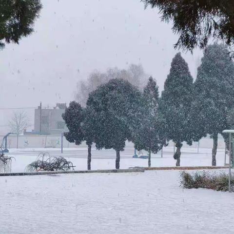 雪飞丹霞 情暖龙九