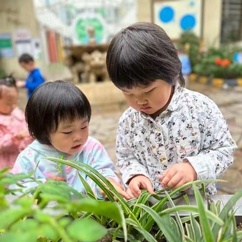 课程 | 收集·春雨🍃🌧️