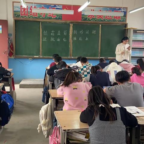 东伍张小学生硬笔书法比赛