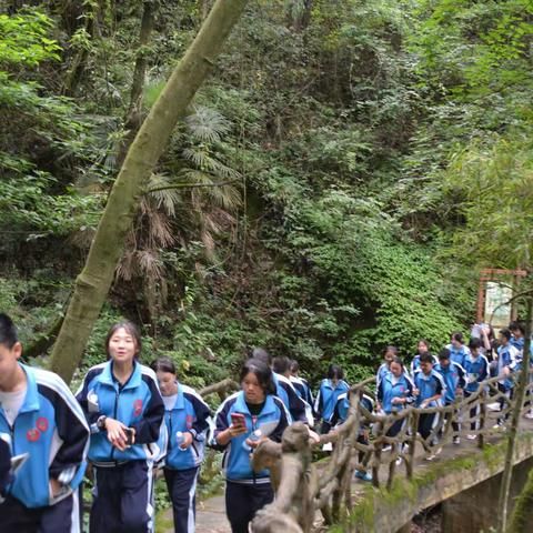 凤冈县天桥中学举行研学旅行活动