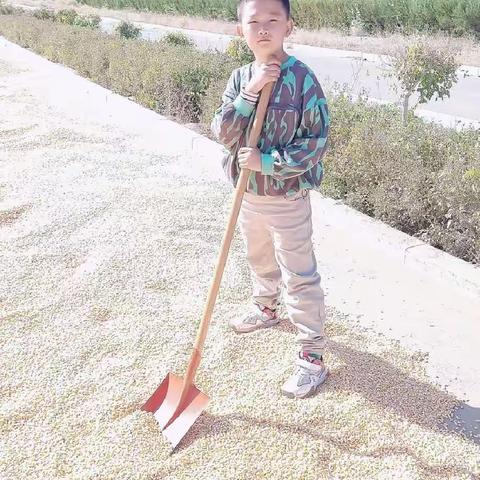 【阳光德育】我劳动   我快乐 北马路小学三年级三班王嘉诚（副本）