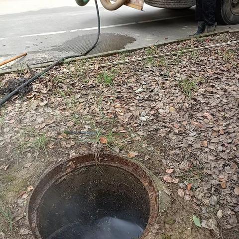 供应上海奉贤区海鸥路污水管道疏通【高压冲洗 效果好-承包更省心】