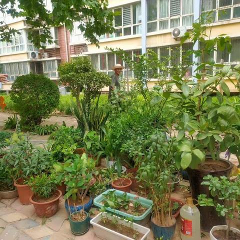 【新石街道社工站】新石街道新石二社区“‘绿’动生活——废物巧利用，变废为宝”我爱我家活动