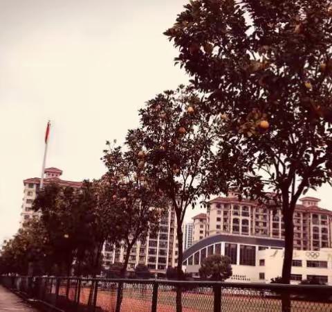 记九年级思品社会复习策略研训活动