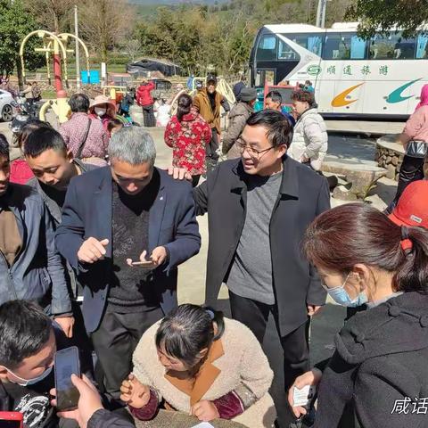 又是一年采茶季，招来山东“大妈”再相聚