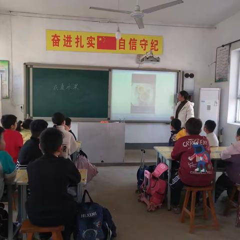 夹河村小学劳动实践纪实