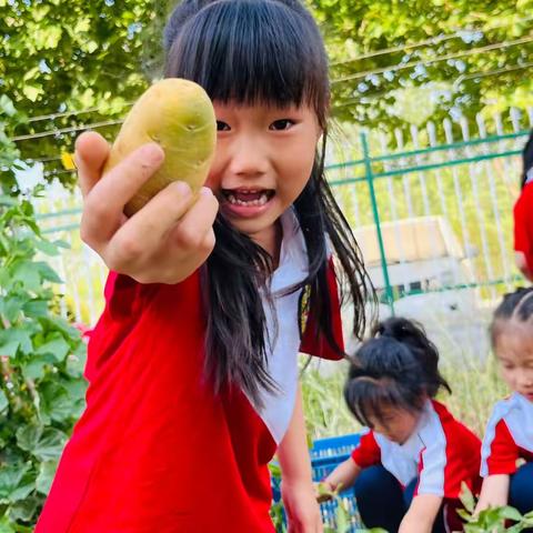 【碑幼大三班李老师】幼小衔接，我们在行动系列活动