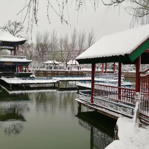 春雪