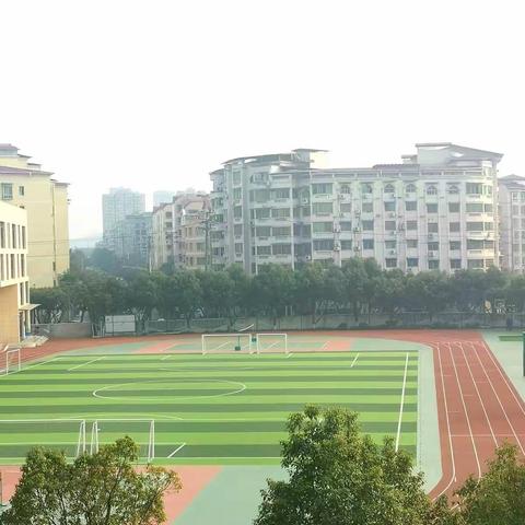 龙小娃娃“龙抬头” 绿茵场上展身手——龙都小学第六届班级足球联赛开赛