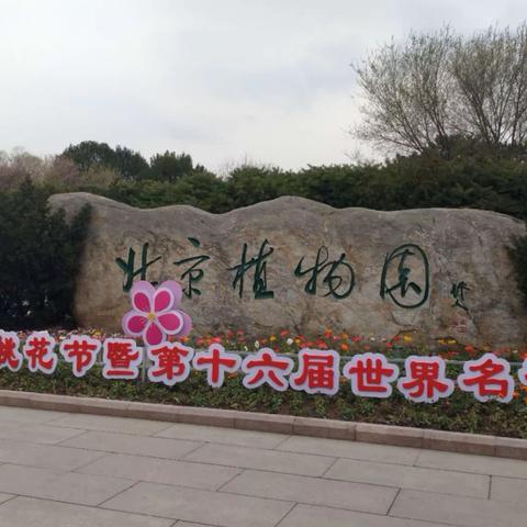 2019年3月北京植物园春游