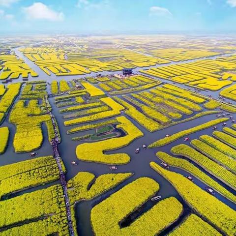 烟花三月下杨州  瘦西湖  兴化垛田 李中水上森林  双卧纯玩四日游