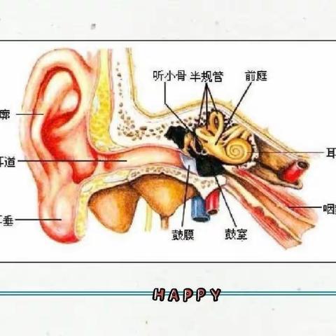 “爱耳护耳，聆听美好”—3月3日“爱耳日”雷庄附属幼儿园大班主题活动