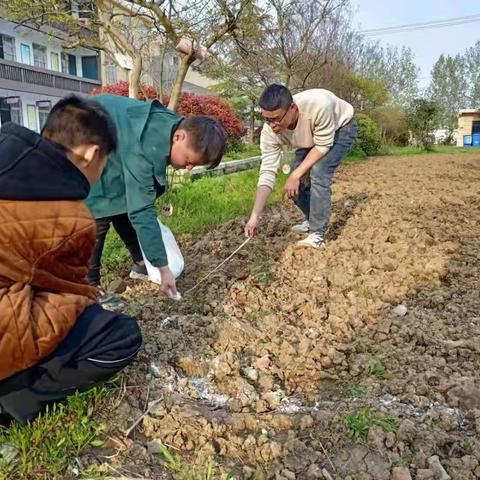 涂郢儿童快乐家园系列活动之——禾趣课堂进校园