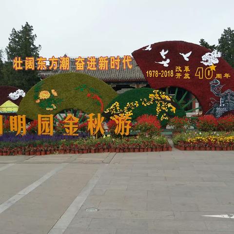 金秋，圆明园景色美