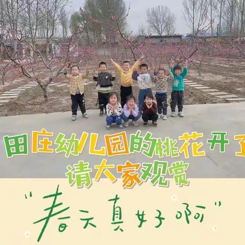 不负好时光 共赴春之约|中堡镇田庄幼儿园《遇见春天》主题活动