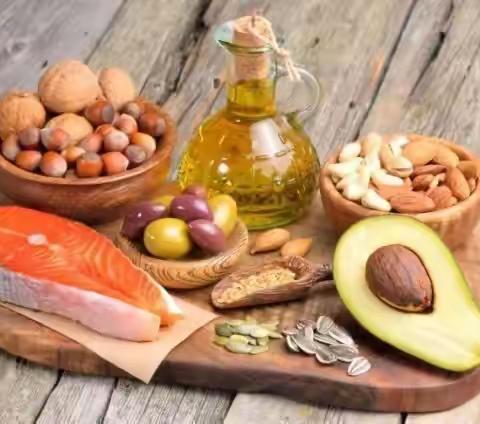 食育课——《身体的保护层——脂肪》