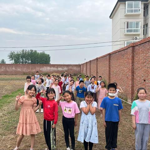 食育课——《劳动初体验》