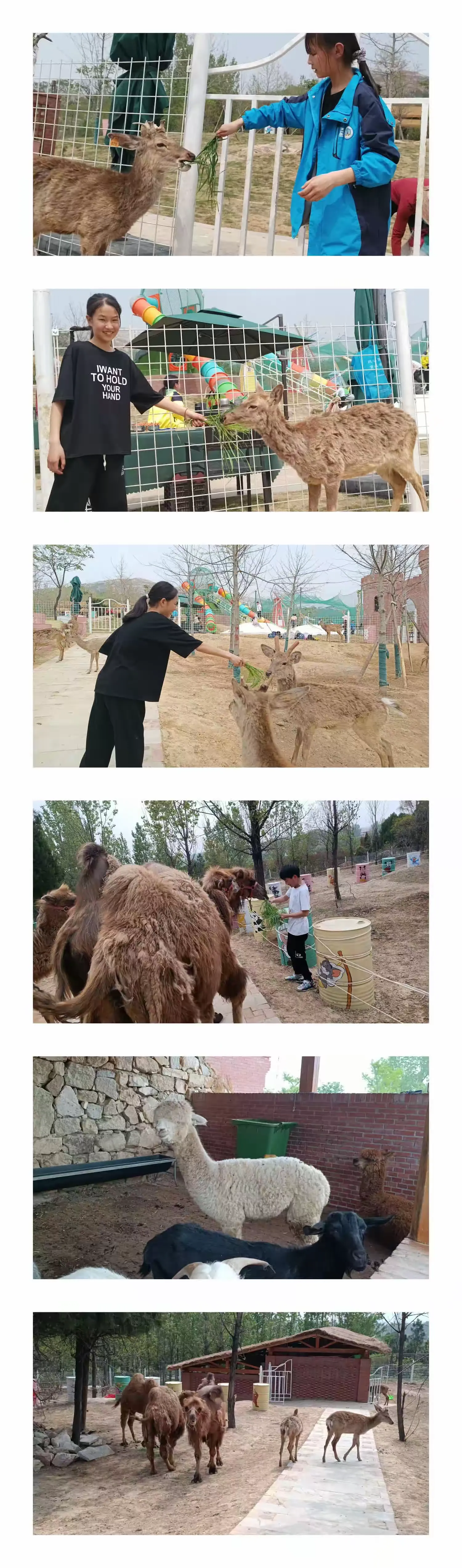 简篇-“研学旅行增见识 寓教于乐助成长”——牛三门小学研学旅行实践活动