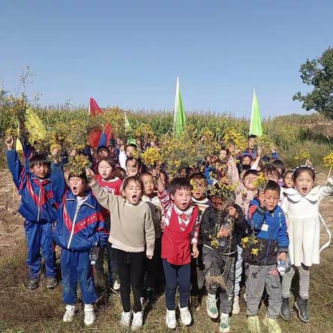 阳光运动   祝福祖国— —马莲乡马其沟小学主题教育活动