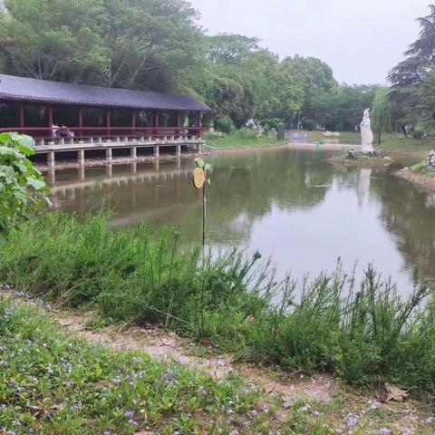 七律·逢雨游堤角公园