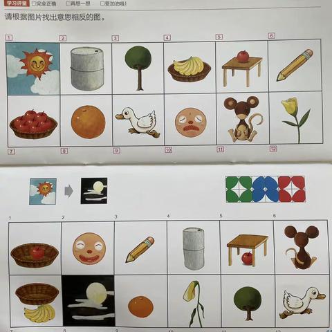 相反对对碰