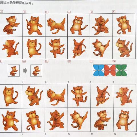 猫咪舞会   溜冰场