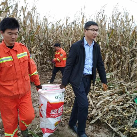 旬邑县马栏国有生态林场党支部 十月份开展让党旗在抢收助农一线高高飘扬的志愿服务活动