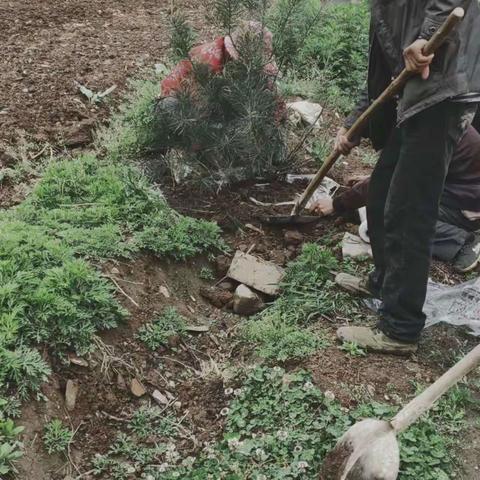 潘河乡:五一节假日临近，我们的人居环境整治热情不减，乡组织群众，公益岗积极参与人居环境治理的浪潮中