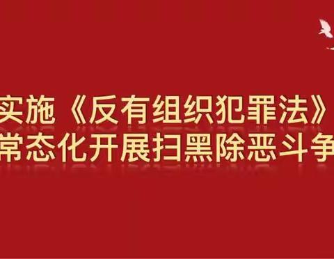 《中华人民共和国反有组织犯罪法》普法宣传（一）