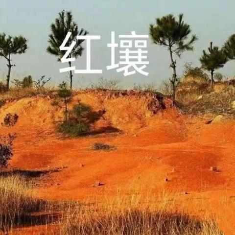 “泥”好有趣——高新一幼游戏故事（十）