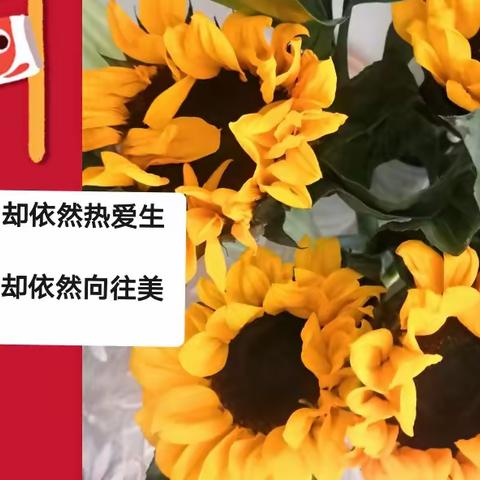 记录点滴 留住美好 ，——美篇制作步骤