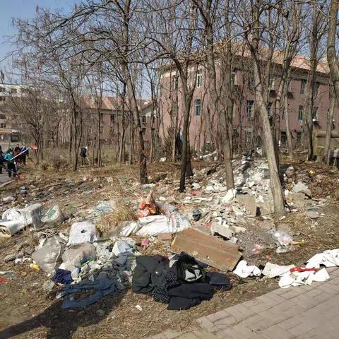 开展春季爱国卫生运动，打造美好南岭环境