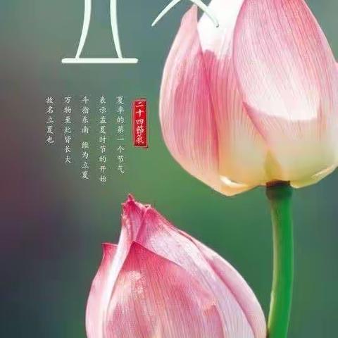 【菠萝班】二十四节气———立夏