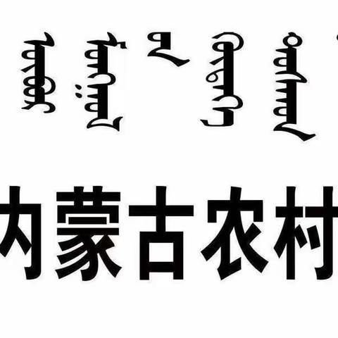 【巴林右旗联社精准营销落地辅导培训】