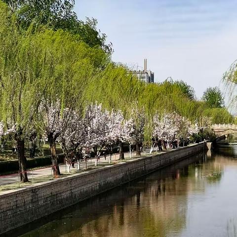 海棠花溪游