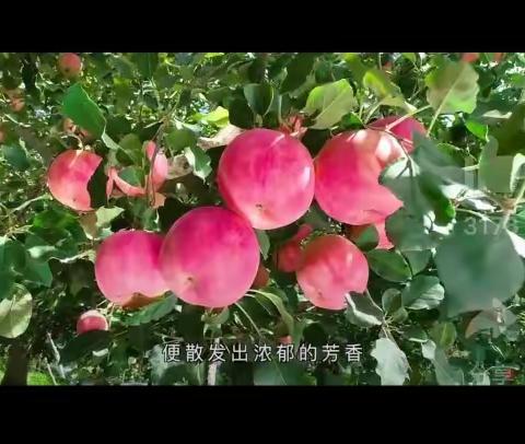 家校携手，共育桃李芬芳