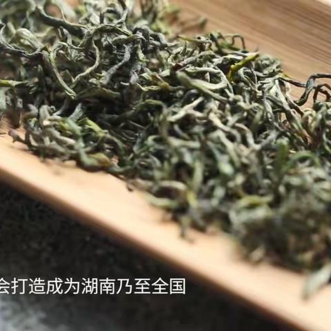 宝庆桂丁绿茶喜获“中绿杯”金奖