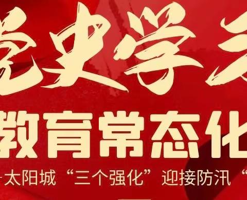 党史学习教育常态化|太阳城“三个强化”迎接防汛“大考”