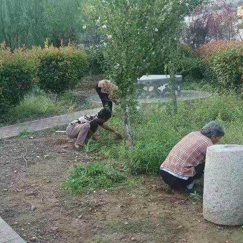 许家沟乡：加强人居环境整治 建设美丽宜居乡村