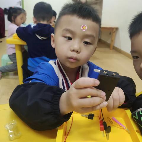 🥳致诺贝尔达美园科学一班的14位宝贝们