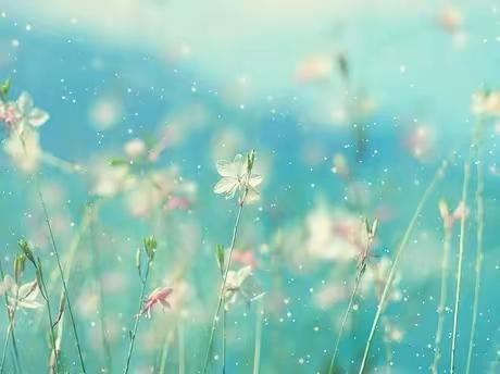 “帮扶共进，携手同行”——圈头中心幼儿园帮扶活动启动仪式