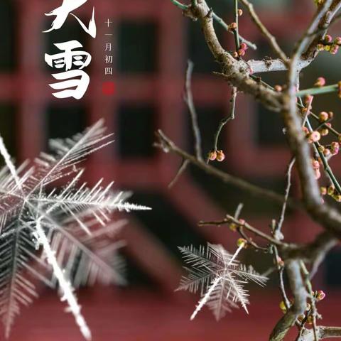 【“三抓三促”行动进行时】大雪节气主题活动——白家湾九年制学校学前班