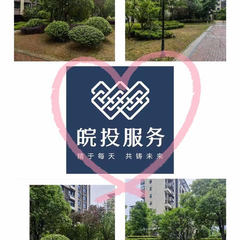 皖投天下名筑2023年4月29日—2023年5月5 日     周工作报告