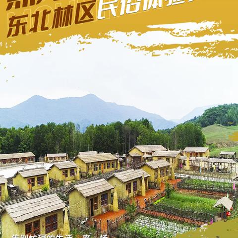 黑龙江凤凰山东北林区体验之旅