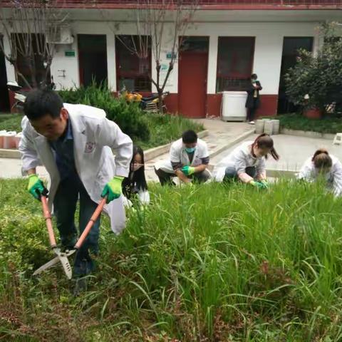 周家坝镇卫生院全体职工集体出动除杂草