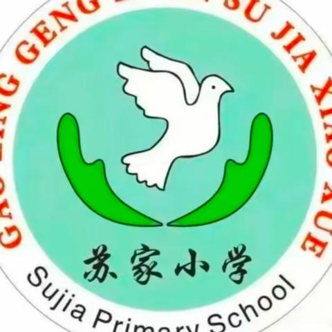 苏家小学第四周工作纪实