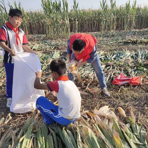 喜迎二十大，田间学农事---尚堂镇前王小学少先队员参加田间研学活动