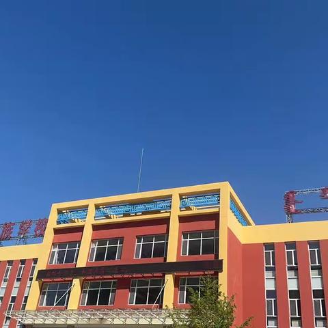 满“新”是你🏫